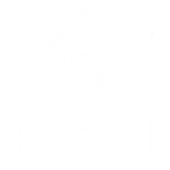 House of Mammoth